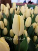 Крем Фреш Creme Fraiche