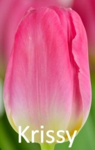 Крисси 'Krissi'