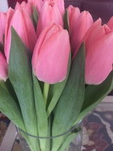 Масковри Maskovri