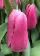 Матчмейкер