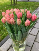 Пінк Сімбіоз 'Pink Symbiose'
