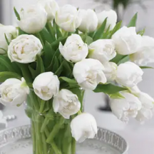 Вайт Харт 'White Heart'