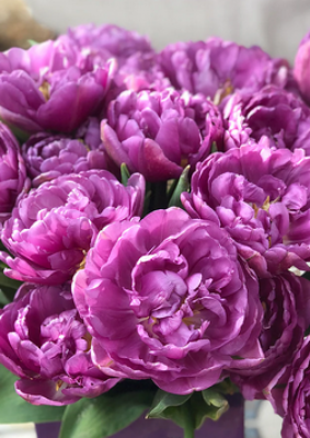 Блу Даймонд