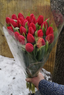 Карри 'Curry' 11/12