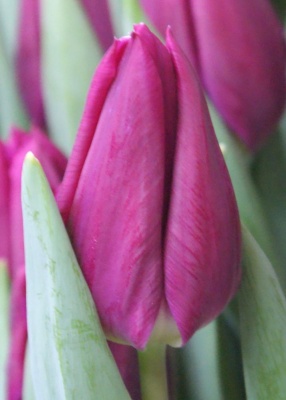 Дестинейшен