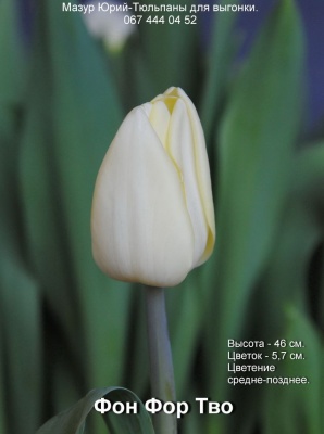 Фон Фор Тво