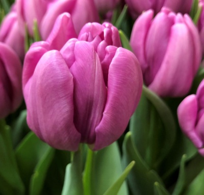 Кикстарт 'Kickstart'