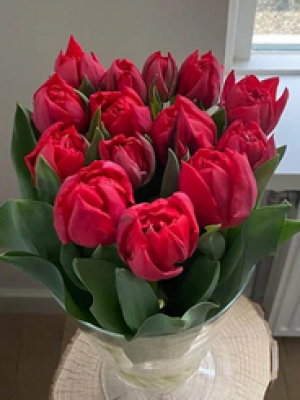 Сартре 'Sartre'